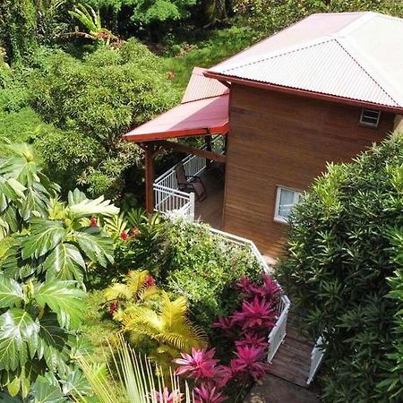 Mahogany Lodge - Oasis Cosy Rivière-Pilote Eksteriør bilde