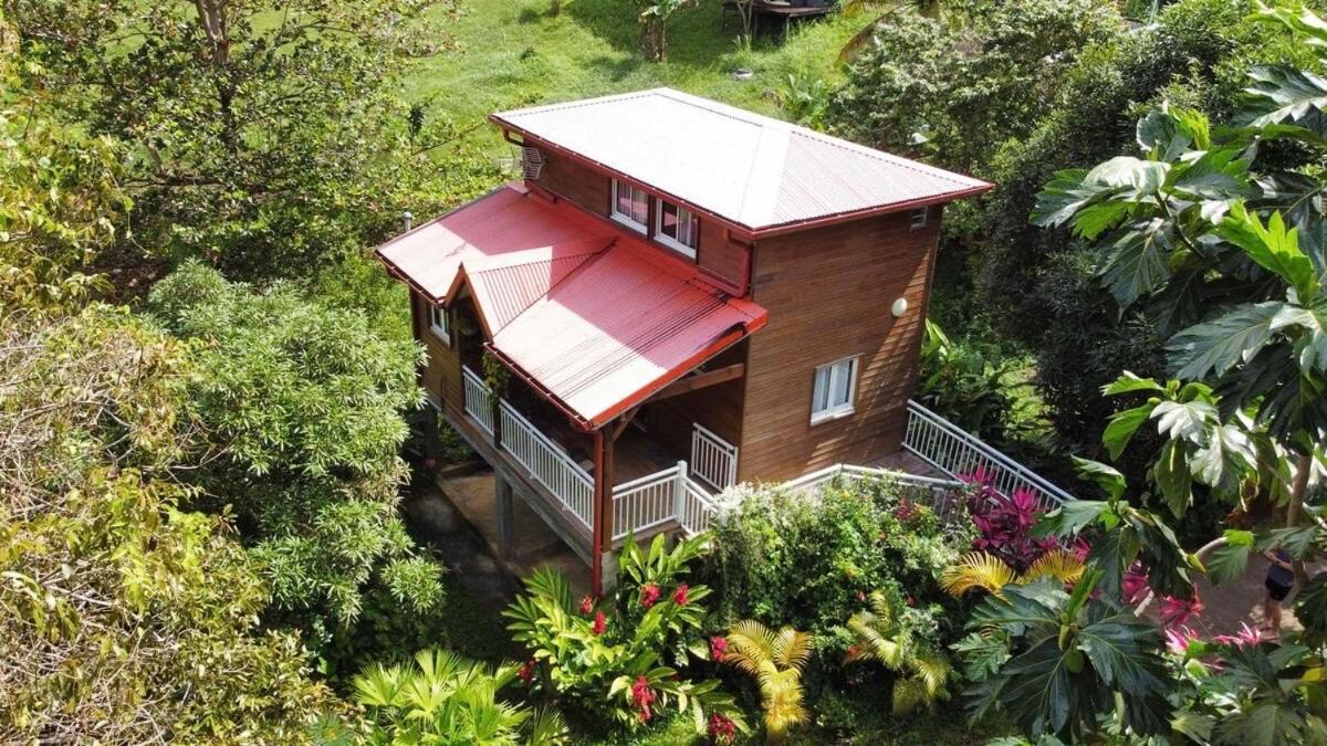 Mahogany Lodge - Oasis Cosy Rivière-Pilote Eksteriør bilde