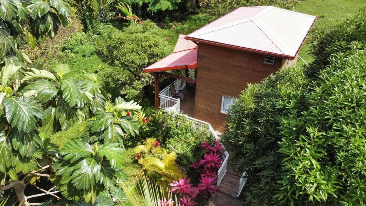 Mahogany Lodge - Oasis Cosy Rivière-Pilote Eksteriør bilde