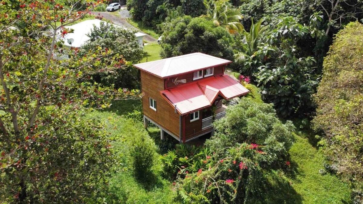 Mahogany Lodge - Oasis Cosy Rivière-Pilote Eksteriør bilde